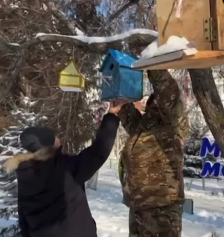 Құстардың тіршілік етуі мен ұя салуына қолайлы жағдайлар жасау